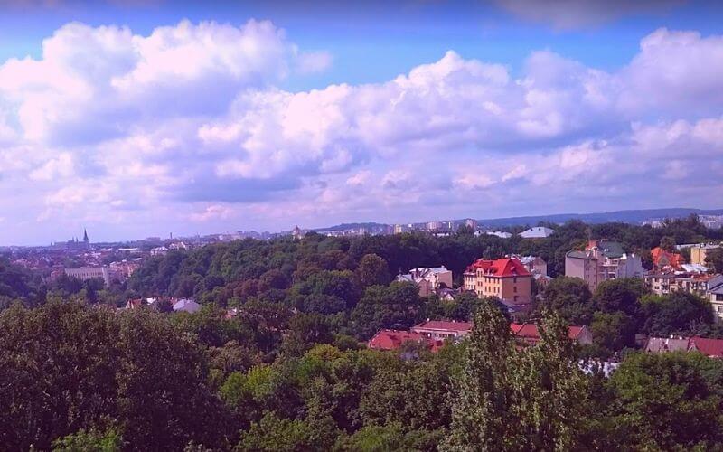 Lviv View