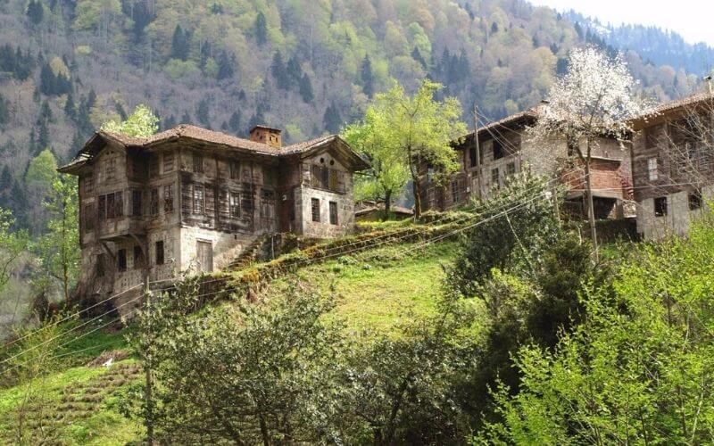 Şimşirli Köyü Trabzon