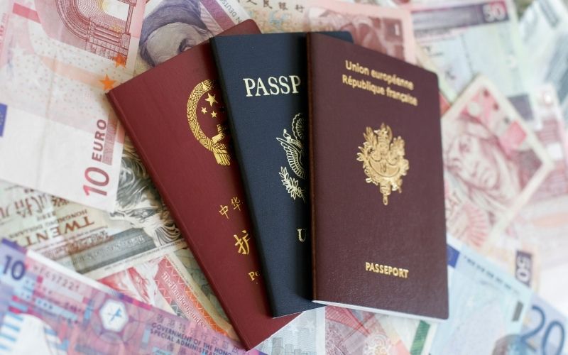 pasaport turleri