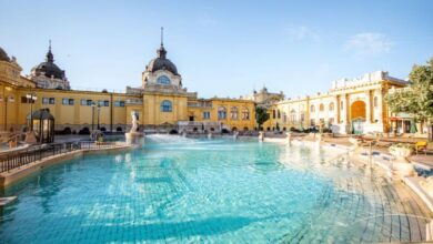 Szechenyi Termal Hamamı