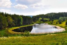 Kızılcahamam ve Soğuksu Milli Parkı