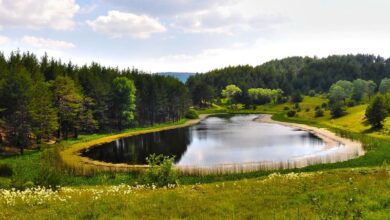 Kızılcahamam ve Soğuksu Milli Parkı