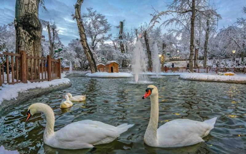 Kuğulu Park
