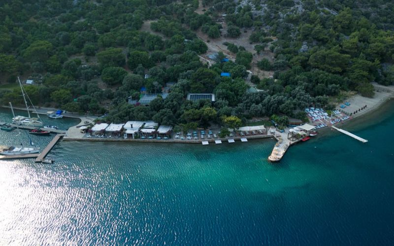 Adaia Gocek